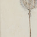 Aetherial Poppy Crema by Paul Meyer - 36X48