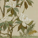 Verano Tan Chinoiserie by Laurel-Dawn Latshaw - 31X48