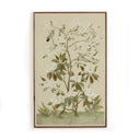 Verano Tan Chinoiserie by Laurel-Dawn Latshaw - 38X60