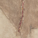 Aetherial Burro Marron by Paul Meyer - 40X40