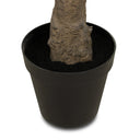 Lush Faux Olive Tree Wide