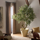 Lush Faux Olive Tree Wide