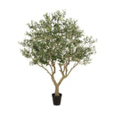 Lush Faux Olive Tree Wide