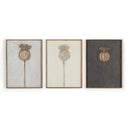 Aurelia Poppy Triptych by Paul Meyer - 30X40