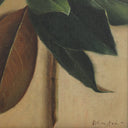 Harmony Line Prelude by Bethany Joseph - 145X18