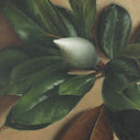 Harmony Line Prelude by Bethany Joseph - 315X40