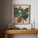 Harmony Line Prelude by Bethany Joseph - 255X32