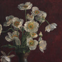 Celeste Collection Jubilee by Bethany Joseph - 145X18