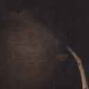 Aurelia Harvest Of Barley and Bulbs by Bethany Joseph - 195X24