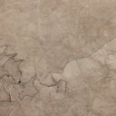 Nature Pinecorn II by Kimmy Quillin - 48X72