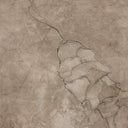 Nature Pinecorn II by Kimmy Quillin - 30X40