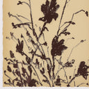 Opulent Meadow Rue Set by Shaina Page - Default Title