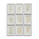 Luminara Galactic Set Of 9 by Jade Dacay - White Maple