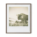 Elysian 290 by Darden Smith - 40X48 Rustic Walnut