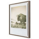 Elysian 290 by Darden Smith - 27X32 Rustic Walnut