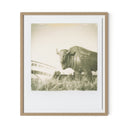 Elysian 290 by Darden Smith - 27X32 White Oak