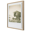 Elysian 290 by Darden Smith - 27X32 White Oak