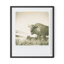 Elysian 290 by Darden Smith - 40X48 Black Maple