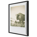 Elysian 290 by Darden Smith - 27X32 Black Maple