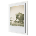 Elysian 290 by Darden Smith - 335X40 White Maple