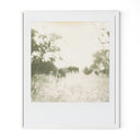 Horses by Darden Smith - 335X40 White Maple