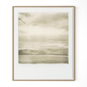 Aurelian Rodeo by Darden Smith - 50X60 White Oak