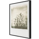 Vivid Sunflowers by Darden Smith - 40X48 Black Maple