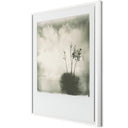 Refined Yucca by Darden Smith - 40X48 White Maple