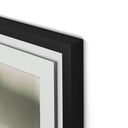 Aurelia Flood by Darden Smith - 335X40 Black Maple