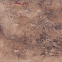 Seraphic Wings Peristera by Paul Meyer - 18X18