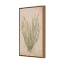 Aesthetica Ocotillo by Paul Meyer - 30X40