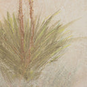 Aurelia Yucca by Paul Meyer - 12X18