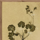 Luxe Haven Petite Study No VI by Hannah Winters - 24X32