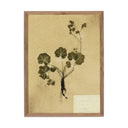 Luxe Haven Petite Study No VI by Hannah Winters - 145X18