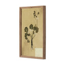 Luxe Haven Petite Study No VI by Hannah Winters - 145X18