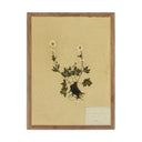 Verano Petite Study No V by Hannah Winters - 24X32