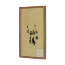 Verano Petite Study No V by Hannah Winters - 18X24