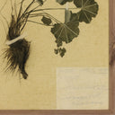 Petite Muse Petite Study No VII by Hannah Winters - 24X32