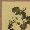 Petite Muse Petite Study No VII by Hannah Winters - 24X32