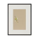 Aria Botanical I by Brittany Smith - 12X18