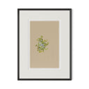 Flora Botanical V by Brittany Smith - 24X32