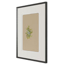 Flora Botanical V by Brittany Smith - 24X32