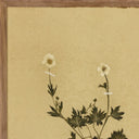 Aurelian Petite Study Triptych by Hannah Winters - 435X18