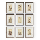 Flora Wild Blooms Set - Default Title