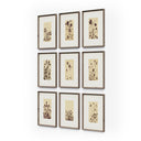 Flora Wild Blooms Set - Default Title