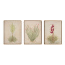 Aurelia Desert Flora Triptych by Paul Meyer - 72X32