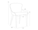 EVORA DINING CHAIR - DILLON THUNDER