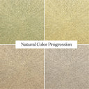 Verity Pascal Coffee Table - Default Title