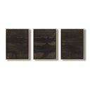 Ethereal Space Triptych by Brooke Noel Morgan - 108X48 White Oak