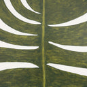 Aurelia Musa Sapientum by Marianne Hendriks - 30X40